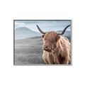 Picture of Furry highland cow _GroupedProduct_Rectangle_Landscape_Photography _GroupedProduct_Rectangle_Landscape_Canvas_Framed_