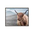 Picture of Furry highland cow _GroupedProduct_Rectangle_Landscape_Photography _GroupedProduct_Rectangle_Landscape_Canvas_Framed_