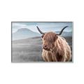 Picture of Furry highland cow _GroupedProduct_Rectangle_Landscape_Photography _GroupedProduct_Rectangle_Landscape_Canvas_Framed_