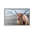 Picture of Furry highland cow _GroupedProduct_Rectangle_Landscape_Photography _GroupedProduct_Rectangle_Landscape_Canvas_Framed_