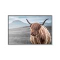 Picture of Furry highland cow _GroupedProduct_Rectangle_Landscape_Photography _GroupedProduct_Rectangle_Landscape_Canvas_Framed_
