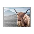 Picture of Furry highland cow _GroupedProduct_Rectangle_Landscape_Photography _GroupedProduct_Rectangle_Landscape_Canvas_Framed_