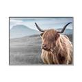 Picture of Furry highland cow _GroupedProduct_Rectangle_Landscape_Photography _GroupedProduct_Rectangle_Landscape_Canvas_Framed_