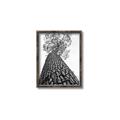 Picture of The Tree _GroupedProduct_Rectangle_Portrait_Photography _GroupedProduct_Rectangle_Portrait_Canvas_Framed_
