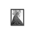Picture of The Tree _GroupedProduct_Rectangle_Portrait_Photography _GroupedProduct_Rectangle_Portrait_Canvas_Framed_
