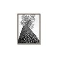 Picture of The Tree _GroupedProduct_Rectangle_Portrait_Photography _GroupedProduct_Rectangle_Portrait_Canvas_Framed_