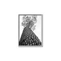 Picture of The Tree _GroupedProduct_Rectangle_Portrait_Photography _GroupedProduct_Rectangle_Portrait_Canvas_Framed_