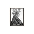 Picture of The Tree _GroupedProduct_Rectangle_Portrait_Photography _GroupedProduct_Rectangle_Portrait_Canvas_Framed_