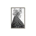 Picture of The Tree _GroupedProduct_Rectangle_Portrait_Photography _GroupedProduct_Rectangle_Portrait_Canvas_Framed_