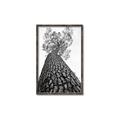 Picture of The Tree _GroupedProduct_Rectangle_Portrait_Photography _GroupedProduct_Rectangle_Portrait_Canvas_Framed_