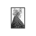 Picture of The Tree _GroupedProduct_Rectangle_Portrait_Photography _GroupedProduct_Rectangle_Portrait_Canvas_Framed_