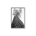 Picture of The Tree _GroupedProduct_Rectangle_Portrait_Photography _GroupedProduct_Rectangle_Portrait_Canvas_Framed_