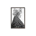 Picture of The Tree _GroupedProduct_Rectangle_Portrait_Photography _GroupedProduct_Rectangle_Portrait_Canvas_Framed_