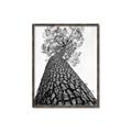 Picture of The Tree _GroupedProduct_Rectangle_Portrait_Photography _GroupedProduct_Rectangle_Portrait_Canvas_Framed_