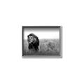 Picture of The Lion King _GroupedProduct_Rectangle_Landscape_Photography _GroupedProduct_Rectangle_Landscape_Canvas_Framed_