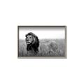 Picture of The Lion King _GroupedProduct_Rectangle_Landscape_Photography _GroupedProduct_Rectangle_Landscape_Canvas_Framed_
