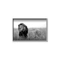Picture of The Lion King _GroupedProduct_Rectangle_Landscape_Photography _GroupedProduct_Rectangle_Landscape_Canvas_Framed_