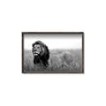Picture of The Lion King _GroupedProduct_Rectangle_Landscape_Photography _GroupedProduct_Rectangle_Landscape_Canvas_Framed_