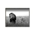 Picture of The Lion King _GroupedProduct_Rectangle_Landscape_Photography _GroupedProduct_Rectangle_Landscape_Canvas_Framed_