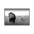 Picture of The Lion King _GroupedProduct_Rectangle_Landscape_Photography _GroupedProduct_Rectangle_Landscape_Canvas_Framed_