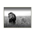 Picture of The Lion King _GroupedProduct_Rectangle_Landscape_Photography _GroupedProduct_Rectangle_Landscape_Canvas_Framed_