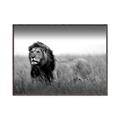 Picture of The Lion King _GroupedProduct_Rectangle_Landscape_Photography _GroupedProduct_Rectangle_Landscape_Canvas_Framed_