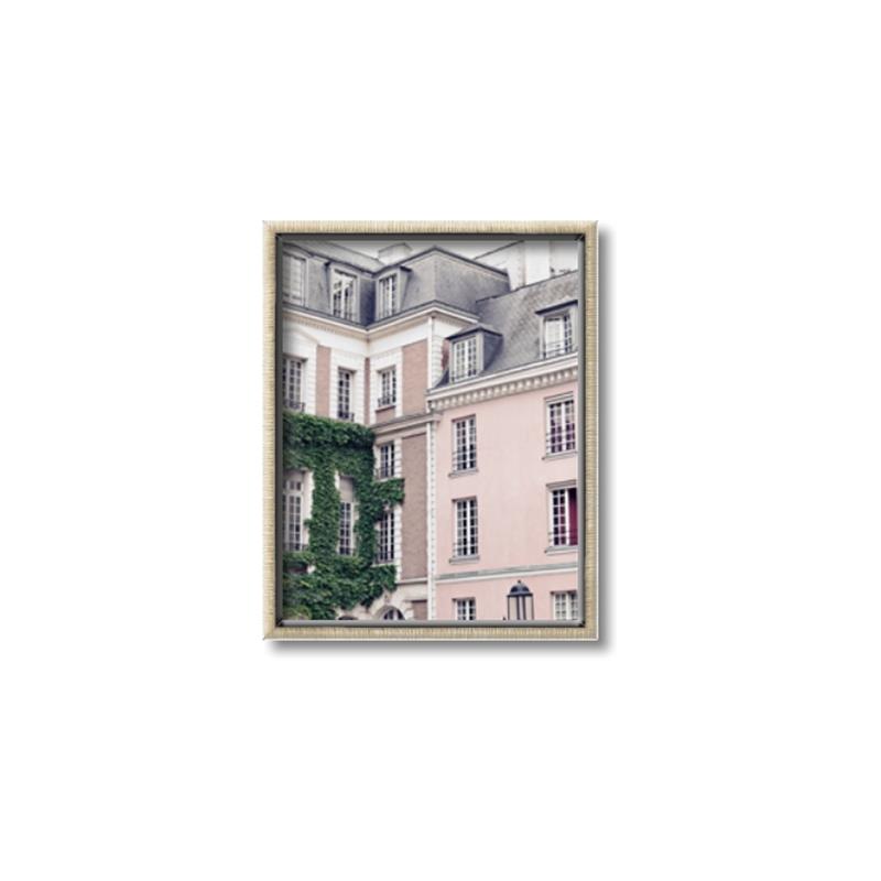 Picture of Pink Building in Paris _GroupedProduct_Rectangle_Portrait_Photography _GroupedProduct_Rectangle_Portrait_Canvas_Framed_