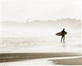 Picture of Lone Surfer _GroupedProduct_Rectangle_Landscape_Photography _GroupedProduct_Rectangle_Landscape_Unframed_Print_Only_