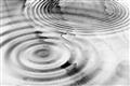 Picture of Ripples _GroupedProduct_Rectangle_Landscape_Photography _GroupedProduct_Rectangle_Landscape_Unframed_Print_Only_