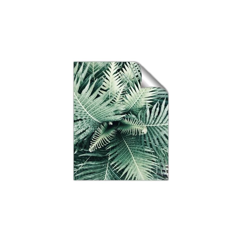 Picture of Green Ferns _GroupedProduct_Rectangle_Portrait_Photography _GroupedProduct_Rectangle_Portrait_Unframed_Print_Only_