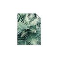 Picture of Green Ferns _GroupedProduct_Rectangle_Portrait_Photography _GroupedProduct_Rectangle_Portrait_Unframed_Print_Only_