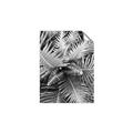 Picture of Green Ferns _GroupedProduct_Rectangle_Portrait_Photography _GroupedProduct_Rectangle_Portrait_Unframed_Print_Only_