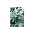 Picture of Green Ferns _GroupedProduct_Rectangle_Portrait_Photography _GroupedProduct_Rectangle_Portrait_Unframed_Print_Only_