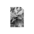 Picture of Green Ferns _GroupedProduct_Rectangle_Portrait_Photography _GroupedProduct_Rectangle_Portrait_Unframed_Print_Only_