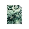 Picture of Green Ferns _GroupedProduct_Rectangle_Portrait_Photography _GroupedProduct_Rectangle_Portrait_Unframed_Print_Only_