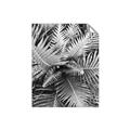 Picture of Green Ferns _GroupedProduct_Rectangle_Portrait_Photography _GroupedProduct_Rectangle_Portrait_Unframed_Print_Only_
