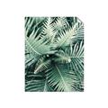 Picture of Green Ferns _GroupedProduct_Rectangle_Portrait_Photography _GroupedProduct_Rectangle_Portrait_Unframed_Print_Only_
