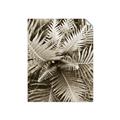 Picture of Green Ferns _GroupedProduct_Rectangle_Portrait_Photography _GroupedProduct_Rectangle_Portrait_Unframed_Print_Only_