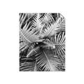 Picture of Green Ferns _GroupedProduct_Rectangle_Portrait_Photography _GroupedProduct_Rectangle_Portrait_Unframed_Print_Only_