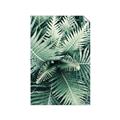 Picture of Green Ferns _GroupedProduct_Rectangle_Portrait_Photography _GroupedProduct_Rectangle_Portrait_Unframed_Print_Only_