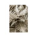 Picture of Green Ferns _GroupedProduct_Rectangle_Portrait_Photography _GroupedProduct_Rectangle_Portrait_Unframed_Print_Only_