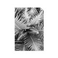 Picture of Green Ferns _GroupedProduct_Rectangle_Portrait_Photography _GroupedProduct_Rectangle_Portrait_Unframed_Print_Only_