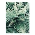 Picture of Green Ferns _GroupedProduct_Rectangle_Portrait_Photography _GroupedProduct_Rectangle_Portrait_Unframed_Print_Only_