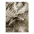 Picture of Green Ferns _GroupedProduct_Rectangle_Portrait_Photography _GroupedProduct_Rectangle_Portrait_Unframed_Print_Only_