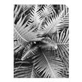 Picture of Green Ferns _GroupedProduct_Rectangle_Portrait_Photography _GroupedProduct_Rectangle_Portrait_Unframed_Print_Only_