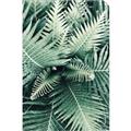 Picture of Green Ferns _GroupedProduct_Rectangle_Portrait_Photography _GroupedProduct_Rectangle_Portrait_Unframed_Print_Only_