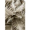 Picture of Green Ferns _GroupedProduct_Rectangle_Portrait_Photography _GroupedProduct_Rectangle_Portrait_Unframed_Print_Only_
