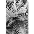 Picture of Green Ferns _GroupedProduct_Rectangle_Portrait_Photography _GroupedProduct_Rectangle_Portrait_Unframed_Print_Only_