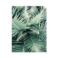 Picture of Green Ferns _GroupedProduct_Rectangle_Portrait_Photography _GroupedProduct_Rectangle_Portrait_Unframed_Print_Only_
