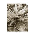 Picture of Green Ferns _GroupedProduct_Rectangle_Portrait_Photography _GroupedProduct_Rectangle_Portrait_Unframed_Print_Only_